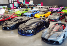 Hamilton Collection Net Worth